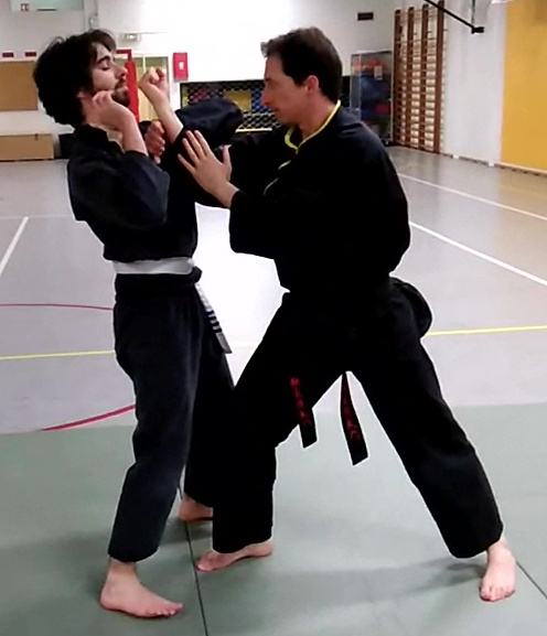 Techniques poings pieds